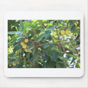 Baum, Italien Mousepad