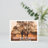 Baum, Jahreszeiten verändern sich, Staat von Ameri Postkarte (Stehend Vorderseite)