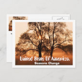 Baum, Jahreszeiten verändern sich, Staat von Ameri Postkarte (Vorne/Hinten)