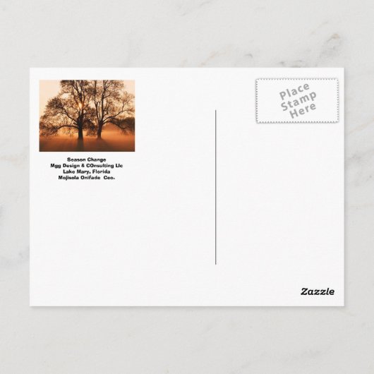 Baum, Jahreszeiten verändern sich, Staat von Ameri Postkarte (Rückseite)