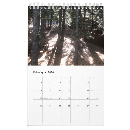 Baum Kalender (Feb 2026)