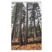 Baum Kalender (Titelbild)