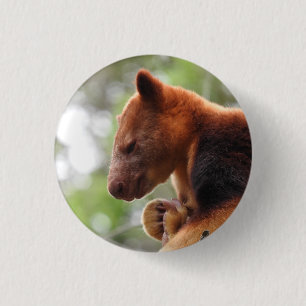 Baum-Känguru-Abzeichen Button