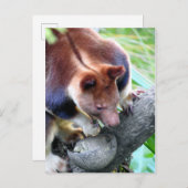 Baum-Känguru Ankündigungspostkarte (Vorne/Hinten)