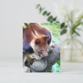 Baum-Känguru Ankündigungspostkarte (Stehend Vorderseite)