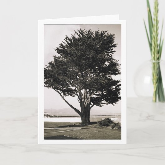 Baum Karte (Vorderseite)