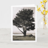 Baum Karte (Gelbe Blume)