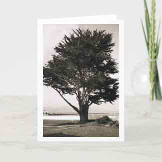 Baum Karte