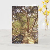 Baum Karte (Gelbe Blume)