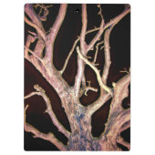 BAUM KLEMMBRETT (Rückseite)