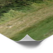 Baum Landschaftsdrucklinie Poster (Ecke)
