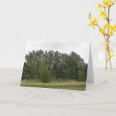 Baum Landschaftsgrußkarte Karte (Gelbe Blume)