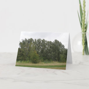 Baum Landschaftsgrußkarte Karte
