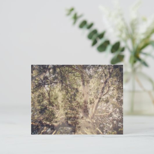 Baum Layers digitale Kunst Postkarte (Stehend Vorderseite)