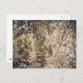 Baum Layers digitale Kunst Postkarte (Vorne/Hinten)