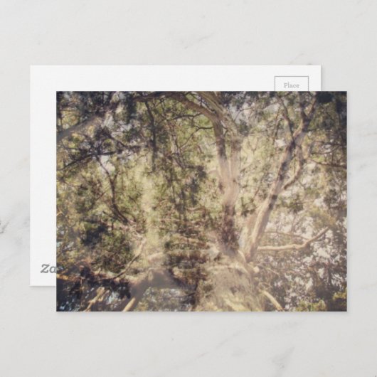 Baum Layers digitale Kunst Postkarte (Vorne/Hinten)