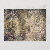 Baum Layers digitale Kunst Postkarte (Vorderseite)