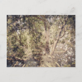 Baum Layers digitale Kunst Postkarte