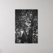 Baum Leinwanddruck (Vorderseite)