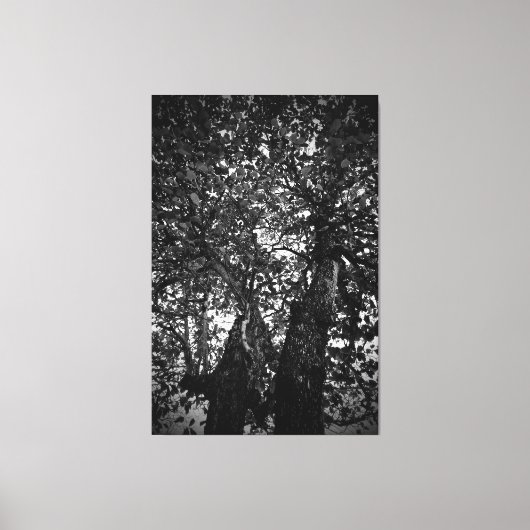 Baum Leinwanddruck (Vorderseite)
