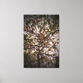 Baum Leinwanddruck (Vorderseite)
