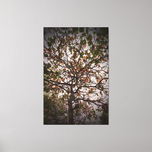 Baum Leinwanddruck (Vorderseite)