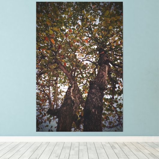 Baum Leinwanddruck (Insitu (Holzboden))
