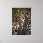 Baum Leinwanddruck (Vorderseite)