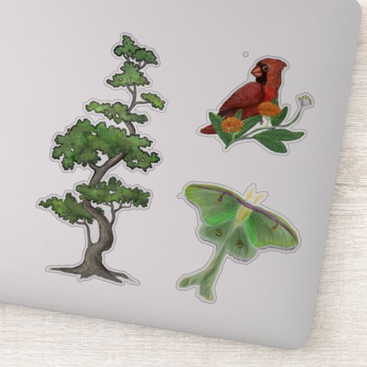 Baum, Luna Moth und Kardinal Bird Nature Aufkleber (Detail)
