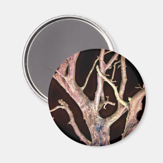 BAUM MAGNET (Vorderseite/Rückseite)