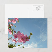 Baum-Malve blüht und Sommerhimmel Postkarte (Vorne/Hinten)