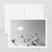 Baum-Malve in Blüte Postkarte (Vorne/Hinten)