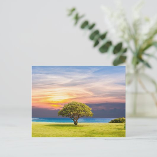 Baum, Meer und Gras. Postkarte (Stehend Vorderseite)