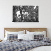 Baum mit einem geheimnisvollen Loch II Leinwanddruck (Insitu (Schlafzimmer))