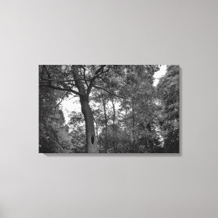 Baum mit einem geheimnisvollen Loch II Leinwanddruck