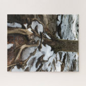 Baum mit exponierten Wurzeln und Schnee Puzzle (Horizontal)