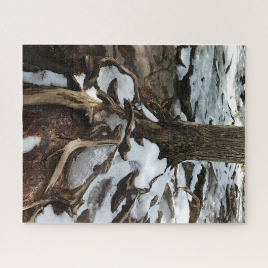Baum mit exponierten Wurzeln und Schnee Puzzle (Horizontal)