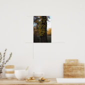 Baum mit Gelben Blätter Poster (Küche)