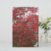 Baum mit rotem Herbst-Blätter Briefpapier (Stehend Vorderseite)