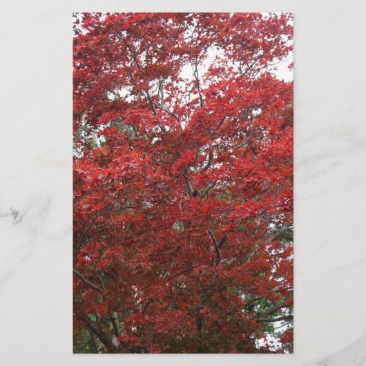 Baum mit roten Herbstblättern Briefpapier (Vorderseite)