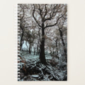 Baum mit Wurzeln Planer (Vorderseite)