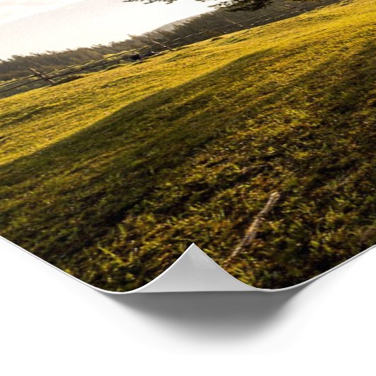 Baum, Morgengrauen. Schöne Landschaft Poster (Ecke)