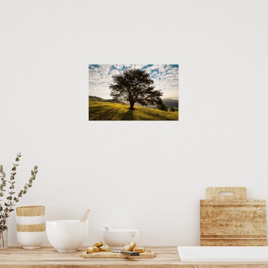 Baum, Morgengrauen. Schöne Landschaft Poster (Küche)