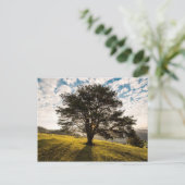 Baum, Morgengrauen. Schöne Landschaft Postkarte (Stehend Vorderseite)