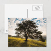 Baum, Morgengrauen. Schöne Landschaft Postkarte (Vorne/Hinten)