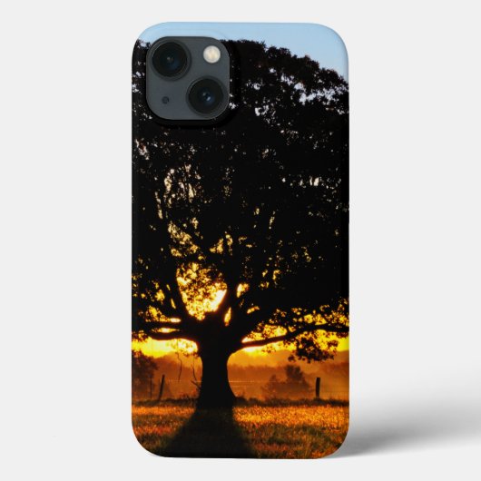 Baum morgens Case-Mate iPhone hülle (Rückseite)