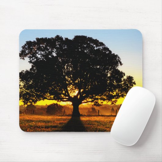 Baum morgens mousepad (Mit Mouse)