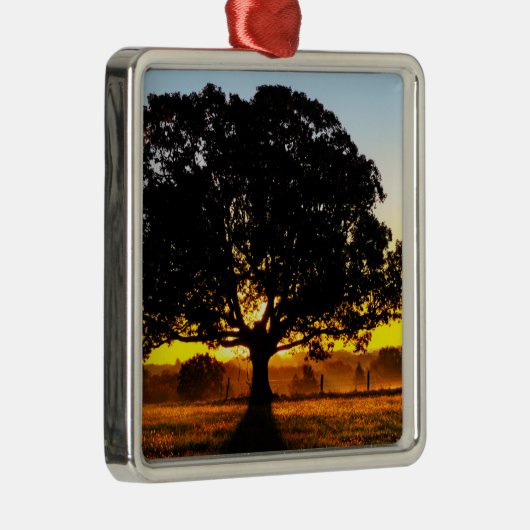 Baum morgens silbernes ornament (Rechts)