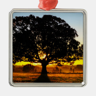 Baum morgens silbernes ornament