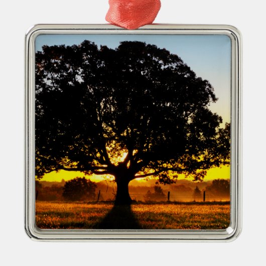 Baum morgens silbernes ornament (Vorne)